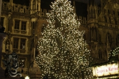 20141129-5105-hdr-1000